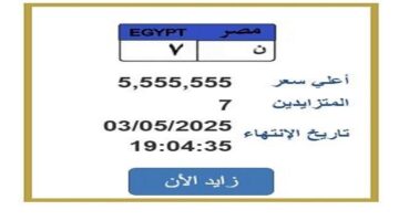 سعرها تخطى 5 ملايين جنيه.. مزايدة نارية على لوحة سيارة مميزة