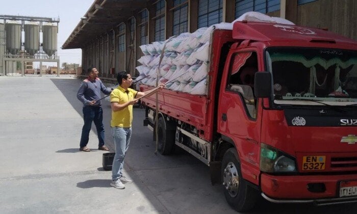 توريد 21 ألف و164 طن قمح للشون والصوامع بالقليوبية توريد 21 ألف و164 طن قمح للشون والصوامع بالقليوبية