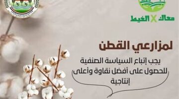 إطلاق حملة  تقدم  نصائح هامة لمزارعي القطن في بداية موسم الزراعة