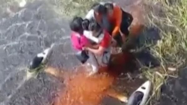 وسط التماسيح والأناكوندا.. نجاة 5 أشخاص بعد تحطم طائرتهم في غابات الأمازون وسط التماسيح والأناكوندا.. نجاة 5 أشخاص بعد تحطم طائرتهم في غابات الأمازون