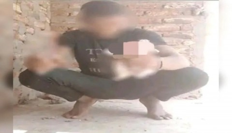شاب يذبح قطة في بث مباشر.. والأمن يتحرك شاب يذبح قطة في بث مباشر.. والأمن يتحرك