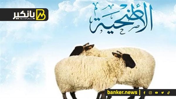 استعد للأضحية.. اعرف سعر الخروف والأضاحي بالأسواق استعد للأضحية.. اعرف سعر الخروف والأضاحي بالأسواق