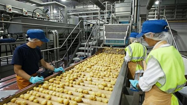 صادرات الأغذية المصرية تسجل 340 ألف طن خلال 12 يوماً والبطاطس تتصدر المشهد صادرات الأغذية المصرية تسجل 340 ألف طن خلال 12 يوماً والبطاطس تتصدر المشهد