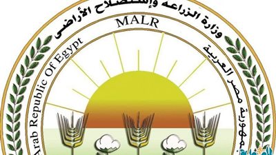 لرفع العبء عن المواطنين.. «الزراعة»: طرح بيض المائدة بسعر 115 جنيه للطبق لرفع العبء عن المواطنين.. «الزراعة»: طرح بيض المائدة بسعر 115 جنيه للطبق