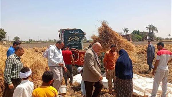 “الإصلاح الزراعي” يتابع حصاد القمح وجهود إزالة التعديات على الأراضي “الإصلاح الزراعي” يتابع حصاد القمح وجهود إزالة التعديات على الأراضي