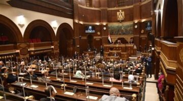 «مجلس الشيوخ» يبحث استراتيجيات البيئة والتغير المناخي.. وعرض لتقارير تشريعية بشأن المحميات والضرائب والتأمين الصحي