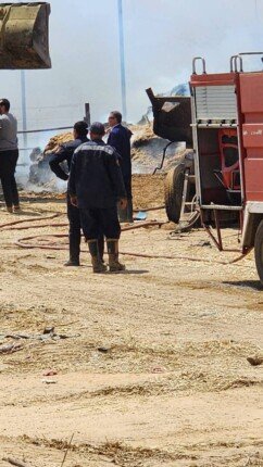 إنقاذ ٢٠٠٠ رأس ماشية من حريق بإحدى المزارع بمركز ومدينة أبو صوير إنقاذ ٢٠٠٠ رأس ماشية من حريق بإحدى المزارع بمركز ومدينة أبو صوير