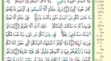 تفسير سورة النساء للشعراوي مكتوبة.. كيف يرى الإمام تعدد الزوجات؟