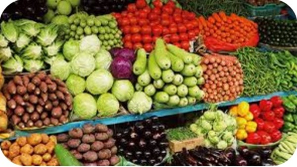 استقرار أسعار الخضر والفاكهة في أسواق الوادي الجديد استقرار أسعار الخضر والفاكهة في أسواق الوادي الجديد