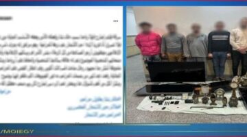 الداخلية تضبط عصابة سرقات الفيلات بالجيزة