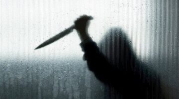 قتلوا ابنة عمهم وأصابوا زوجها.. قرارات جديدة من النيابة مع أشقاء الشرقية