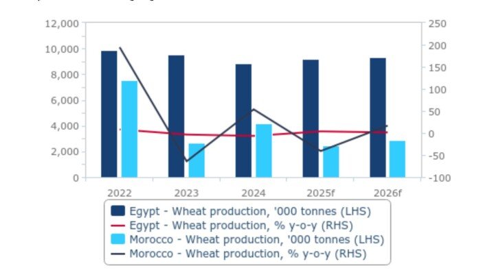 بنسبة 16.7%.. «فيتش سوليوشنز» تتوقع زيادة إنتاج القمح في مصر والمغرب 2026/2025 بنسبة 16.7%.. «فيتش سوليوشنز» تتوقع زيادة إنتاج القمح في مصر والمغرب 2026/2025