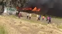 نجاة 2000 رأس ماشية من حريق بمزرعة إنتاج حيواني في الإسماعيلي