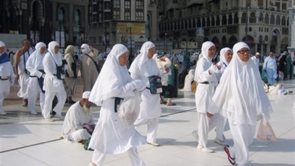 حكم حج الحامل والمرضع.. دار الإفتاء تجيب حكم حج الحامل والمرضع.. دار الإفتاء تجيب