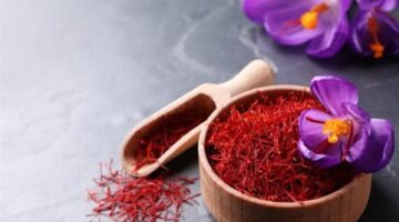 الزعفران أفضل التوابل لمرضى السكري.. تعرف على فوائده
