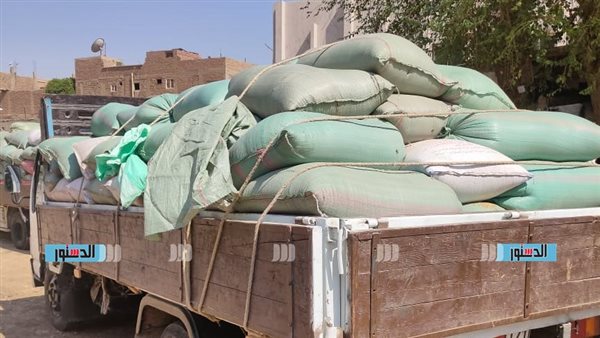 توريد 62 ألف طن قمح إلى شون وصوامع كفر الشيخ منذ بداية الموسم توريد 62 ألف طن قمح إلى شون وصوامع كفر الشيخ منذ بداية الموسم