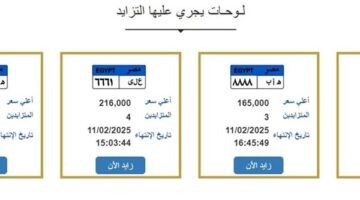 عبر بوابة مرور مصر.. مزاد اللوحات المميزة يشعل المنافسة