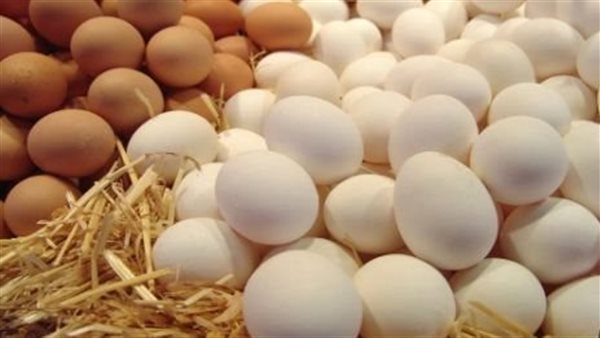الإصلاح الزراعي يواصل دعم المواطنين بطرح منتجات غذائية بأسعار مخفضة الإصلاح الزراعي يواصل دعم المواطنين بطرح منتجات غذائية بأسعار مخفضة