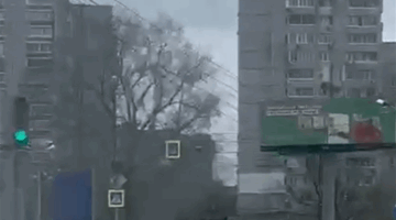 حصان هارب يتسبب بحادث (فيديو)