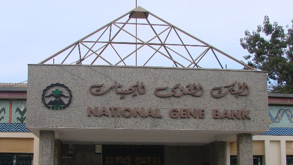 البنك القومي للجينات يعلن انطلاق موقعه الإلكتروني على شبكة الإنترنت البنك القومي للجينات يعلن انطلاق موقعه الإلكتروني على شبكة الإنترنت