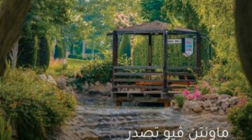 ماونتن ڤيو تؤكد التزامها بأفضل ممارسات الاستدامة والحوكمة البيئية والاجتماعية لدعم تحقيق رؤية مصر 2030
