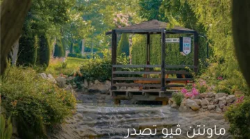 ماونتن ڤيو تؤكد التزامها بأفضل ممارسات الاستدامة والحوكمة البيئية والاجتماعية لدعم تحقيق رؤية مصر 2030
