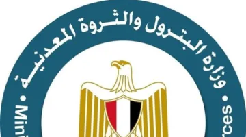 «البترول» تعلن نتائج تحليل عينات البنزين بمحطات الوقود
