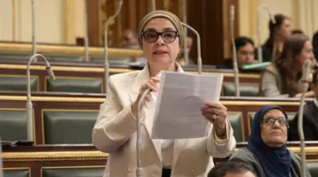 أول تحرك برلمانى حول وقائع غش البنزين وضرر مئات المواطنين