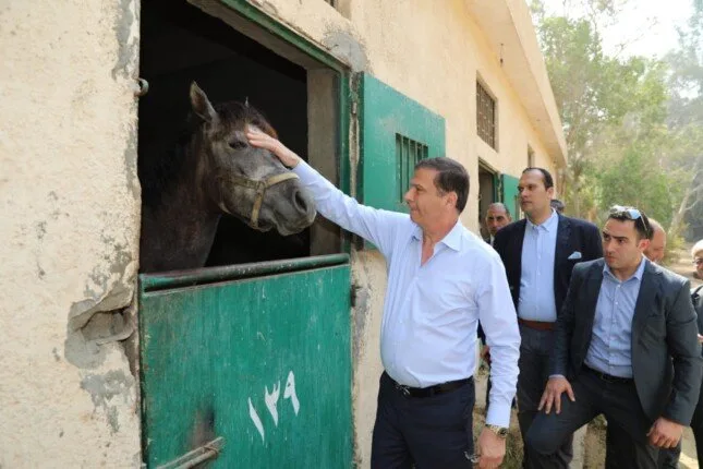 وزير الزراعة ومحافظ القاهرة يتفقدان محطة الزهراء للخيول العربية الأصيلة وزير الزراعة ومحافظ القاهرة يتفقدان محطة الزهراء للخيول العربية الأصيلة