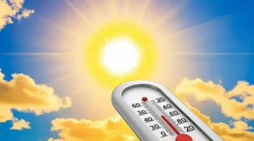 الأرصاد: غدا طقس حار نهارا معتدل ليلا والعظمى بالقاهرة 34