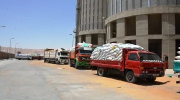 محافظ سوهاج: توريد 82 ألف طن قمح منذ بدء موسم التوريد