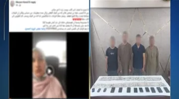 الداخلية تكشف ملابسات فيديو لسيدة مسنة تزعم تعرضها للضرب على يد نجلها وزوجته بالساحل