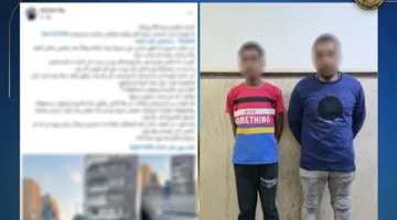الداخلية تكشف ملابسات واقعة تعدي "سايسين" على طبيبة بالإسكندرية.. وضبط المتهمين