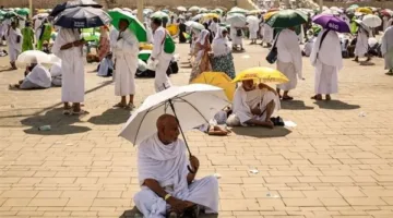 دار الإفتاء تشرح متطلبات وأشكال الحج وحكم سفر المرأة بلا محرم