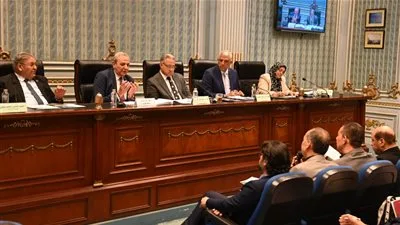 محافظ الغربية باجتماع محلية النواب: في انتظار التدشين الرسمي للمرحلة الثانية من مبادرة حياة كريمة محافظ الغربية باجتماع محلية النواب: في انتظار التدشين الرسمي للمرحلة الثانية من مبادرة حياة كريمة