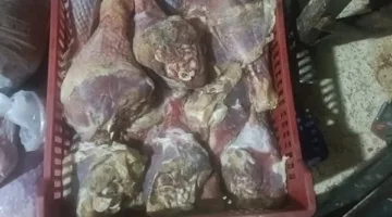 ضبط 18،5 طن لحوم مستوردة وأسماك مملحة فاسدة وغير صالحة للاستهلاك الآدمى بالجيزة
