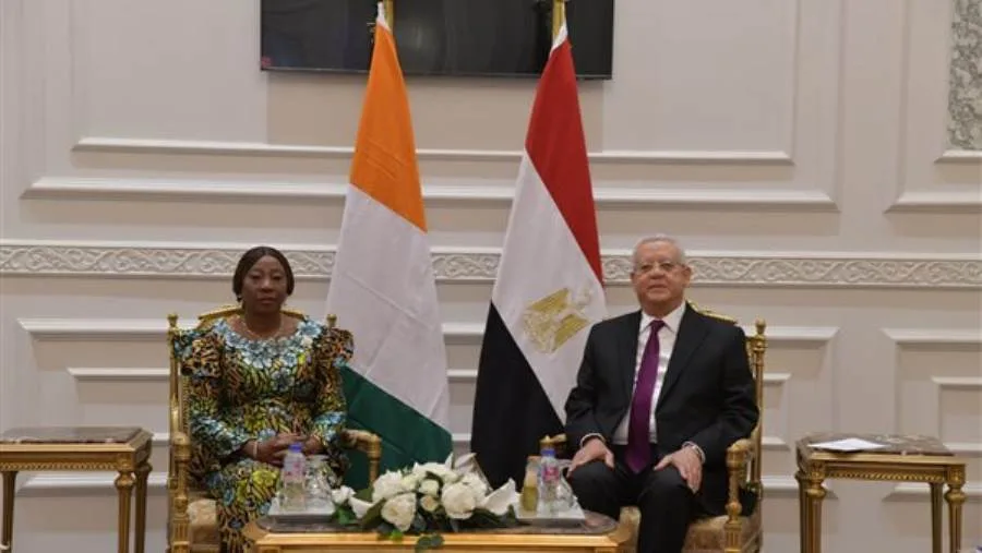 المستشار الدكتور حنفي جبالي يستقبل رئيسة مجلس الشيوخ في كوت ديفوار المستشار الدكتور حنفي جبالي يستقبل رئيسة مجلس الشيوخ في كوت ديفوار