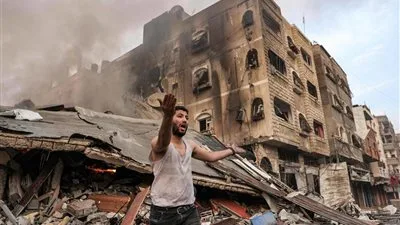 استاذ علوم سياسية: القضية الفلسطينية تم اختطافها لمصالح بعض الدول استاذ علوم سياسية: القضية الفلسطينية تم اختطافها لمصالح بعض الدول