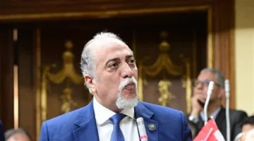 رئيس تضامن النواب: الرئيس السيسي يولي ذوي القدرات الخاصة اهتمام كبير