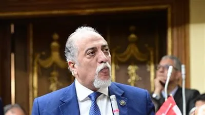 رئيس تضامن النواب: الرئيس السيسي يولي ذوي القدرات الخاصة اهتمام كبير رئيس تضامن النواب: الرئيس السيسي يولي ذوي القدرات الخاصة اهتمام كبير