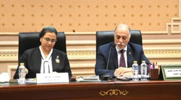 «تضامن النواب» توافق على موازنة المجلس القومي لذوي الإعاقة