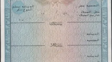 "مش هتنزل من البيت".. خطوات استخراج شهادة الميلاد الرقمية 2025 بسهولة