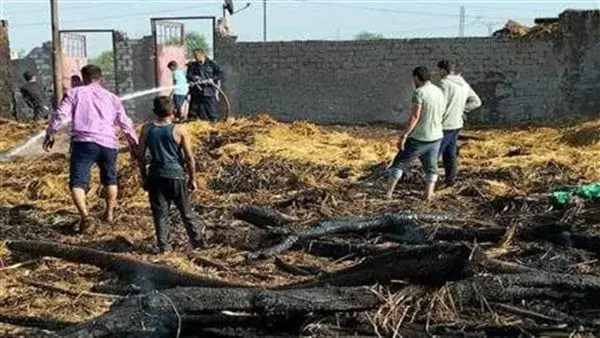 حريق ضخم يلتهم حظيرة مواشي في المنيا حريق ضخم يلتهم حظيرة مواشي في المنيا