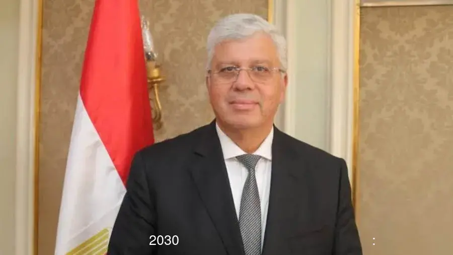 وزير التعليم العالي: إطلاق جيل جديد من الجامعات المتخصصة لدعم رؤية مصر 2030 وزير التعليم العالي: إطلاق جيل جديد من الجامعات المتخصصة لدعم رؤية مصر 2030