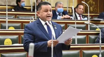 النائب شحاته أبو زيد: ما يحدث في غزة جريمة إنسانية.. وموقف مصر ثابت في دعم القضية الفلسطينية