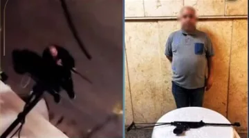 ضبط سائق أطلق "رش" على كلاب ضالة بمصر الجديدة