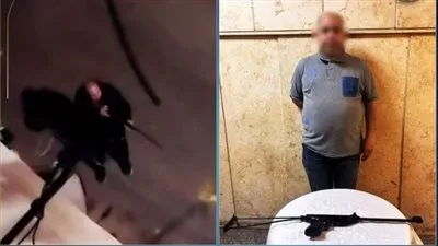 ضبط سائق أطلق "رش" على كلاب ضالة بمصر الجديدة ضبط سائق أطلق "رش" على كلاب ضالة بمصر الجديدة