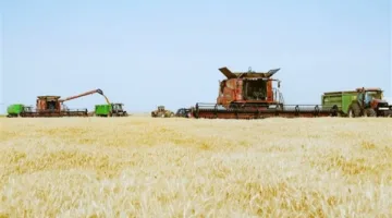 محافظ أسوان: توريد 170 ألف طن من القمح داخل وخارج المحافظة