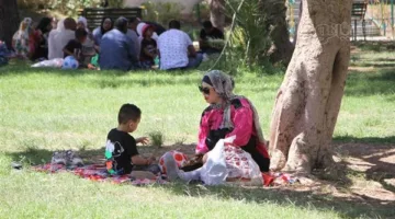 العطلات الرسمية المتبقية في 2025.. موعد المولد النبوي الشريف وإجازة العيد الكبير