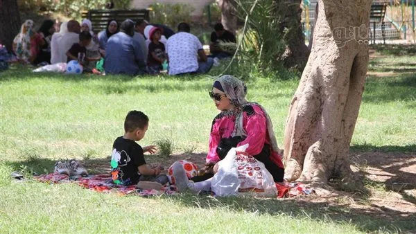 العطلات الرسمية المتبقية في 2025.. موعد المولد النبوي الشريف وإجازة العيد الكبير العطلات الرسمية المتبقية في 2025.. موعد المولد النبوي الشريف وإجازة العيد الكبير